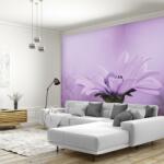 Mivali Fototapet - Flori mov, vlies, 245x170 cm (T100978TQ5)