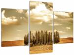 Mivali Tablou cu luncă, din trei bucăți 90x60 cm (V021929V90603PCS)
