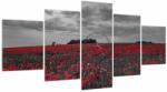 Mivali Tablou cu maci (cu ceas), din cinci bucăți 150x80 cm cu ceas (V020987V15080C)