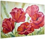 Mivali Tablou - Mac - flori, dintr-o bucată 100x70 cm (V023305V10070)
