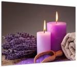 Mivali Tablou cu produsele spa, dintr-o bucată 70x50 cm (V020931V7050)