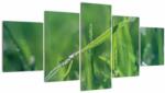 Mivali Tablou cu picături de rouă, din cinci bucăți 150x80 cm (V020008V150805PCS)