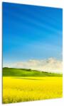 Mivali Tablou - Cerul de primăvară, dintr-o bucată 50x70 cm (V022390V5070)