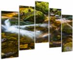 Mivali Tablou cu părâu, din cinci bucăți 125x90 cm (V020338V12590)