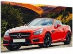 Mivali Tablou - Mercedes roșu, dintr-o bucată 120x70 cm (V020564V12070)