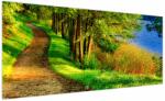 Mivali Tablou - poteci pe malul apei, dintr-o bucată 200x100 cm (V021746V200100)