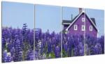 Mivali Tablou cu câmp de lavanda, din patru bucăți 160x80 cm (V020406V16080)
