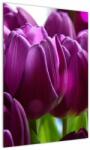Mivali Tablou cu lalele, dintr-o bucată 50x70 cm (V020308V5070)