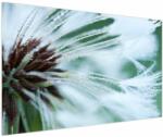 Mivali Tablou - Detaliu floare, dintr-o bucată 150x100 cm (V023723V150100)
