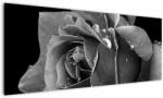 Mivali Tablou cu trandafir - albneagră, dintr-o bucată 145x58 cm (V021394V14558)