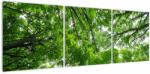 Mivali Tablou - privire în coroanele pomilor, din trei bucăți 120x40 cm (V021918V12040)