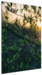 Mivali Tablou - Soarele strălucind printre crengile copacilor, dintr-o bucată 60x90 cm (V022735V6090)