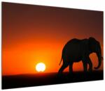 Mivali Tablou cu elefant în apus de soare, dintr-o bucată 100x70 cm (V021976V10070)