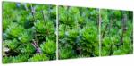 Mivali Tablou - Aloe, din trei bucăți 120x40 cm (V022701V12040)