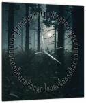 Mivali Tablou - Ferigi în lumina lunii (cu ceas), dintr-o bucată 30x30 cm cu ceas (V022890V3030C)