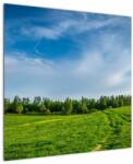 Mivali Tablou cu luncă, dintr-o bucată 70x70 cm (V020322V7070)