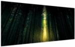 Mivali Tablou cu pădurea întunecată, dintr-o bucată 200x100 cm (V020705V200100)
