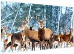 Mivali Tablou - Turma de căprioare, dintr-o bucată 120x70 cm (V023956V12070)