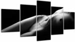 Mivali Tablou - Nud feminin, alb - negru (cu ceas), din cinci bucăți 150x80 cm cu ceas (V023378V15080C)