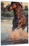 Mivali Tablou - Cal care aleargă, dintr-o bucată 30x40 cm (V023841V3040)