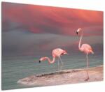 Mivali Tablou - Flamingo, dintr-o bucată 100x70 cm (V022321V10070)