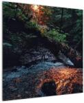 Mivali Tablou cu râu montan, dintr-o bucată 70x70 cm (V020254V7070)