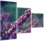 Mivali Tablou cu lavanda (cu ceas), din trei bucăți 90x70 cm cu ceas (V020539V9070C)