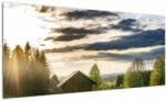 Mivali Tablou cu cabana pe luncă, dintr-o bucată 100x40 cm (V020547V10040)