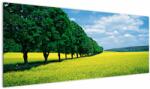 Mivali Tablou - Câmp cu alei, dintr-o bucată 145x58 cm (V023225V14558)