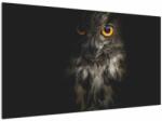 Mivali Tablou cu bufnița, dintr-o bucată 120x70 cm (V020966V12070)