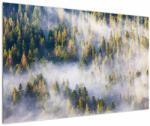 Mivali Tablou - Copac în ceață, dintr-o bucată 120x80 cm (V023148V12080)