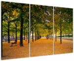 Mivali Tablou cu alee cu copaci în toamnă, din trei bucăți 120x80 cm (V020953V120803PCS)