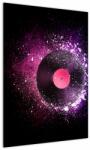 Mivali Tablou - Disc de vinil roz-violet, dintr-o bucată 50x70 cm (V023474V5070)