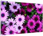 Mivali Tablou - Flori, dintr-o bucată 90x60 cm (V022323V9060)