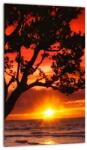 Mivali Tablou - Apus de soare, dintr-o bucată 20x30 cm (V022221V2030)