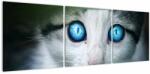 Mivali Tablou cu pisica, din trei bucăți 120x40 cm (V020944V12040)