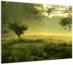 Mivali Tablou - Pădurea trezită, dintr-o bucată 70x50 cm (V022387V7050)
