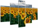 Mivali Tablou câmpului de floarea soarelui, din cinci bucăți 150x105 cm (V020662V150105)