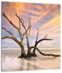 Mivali Tablou pe sticlă - Copacul în ocean, dintr-o bucată 30x30 cm pe sticlă (V023279V3030GD)