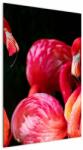 Mivali Tablou cu flamengo roșii, dintr-o bucată 60x90 cm (V021117V6090)