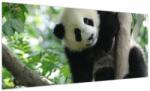 Mivali Tablou - Panda in copac, dintr-o bucată 100x40 cm (V023757V10040)