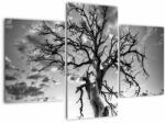 Mivali Tablou - Copacul, alb-negru, din trei bucăți 90x60 cm (V023559V90603PCS)