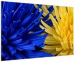 Mivali Tablou - detaliu florilor, dintr-o bucată 90x60 cm (V020173V9060)