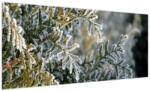 Mivali Tablou - Detaliu ramură, dintr-o bucată 100x40 cm (V023696V10040)