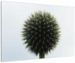 Mivali Tablou - Sfere de flori, dintr-o bucată 90x60 cm (V022586V9060)