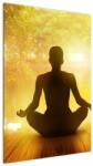 Mivali Tablou - meditare, dintr-o bucată 60x90 cm (V021741V6090)
