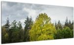 Mivali Tablou - Copac verde în câmp, dintr-o bucată 100x40 cm (V022540V10040)