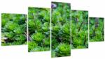 Mivali Tablou - Aloe (cu ceas), din cinci bucăți 150x80 cm cu ceas (V022701V15080C)