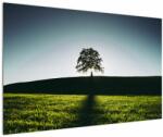 Mivali Tablou cu natura - copac, dintr-o bucată 120x80 cm (V020162V12080)