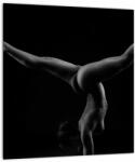 Mivali Tablou - Gimnasta nud în întuneric, dintr-o bucată 30x30 cm (V023080V3030)
